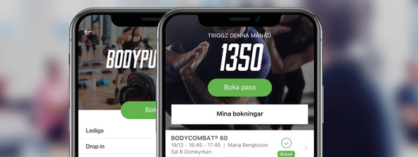 Nordic Wellness Labs